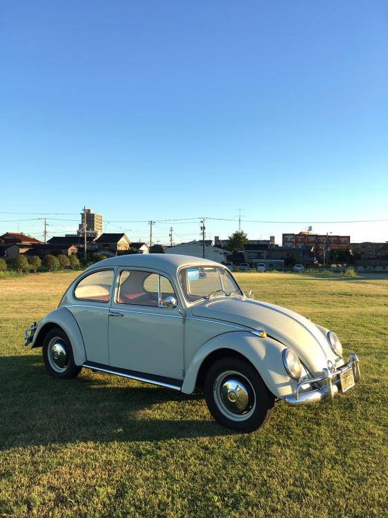1966 beetle