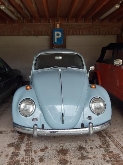 1967 type1 vw beetle