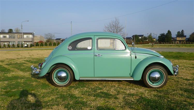 1963VW Type-1 Beetle